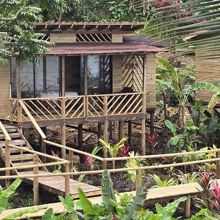 Pacific Nuqui Lodge エクステリア 写真