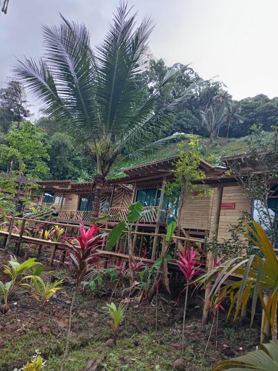 Pacific Nuqui Lodge エクステリア 写真